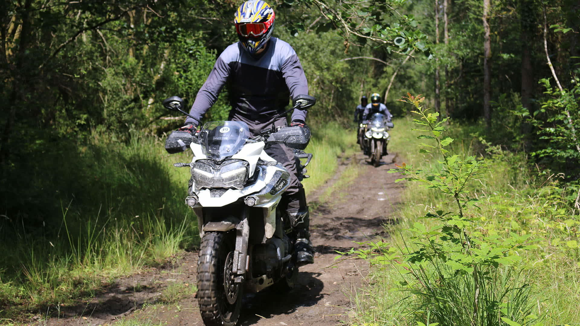Triumph off road experience top